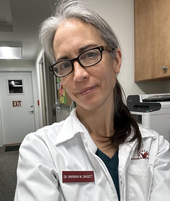 Experienced Veterinarians Veterinary Hospital